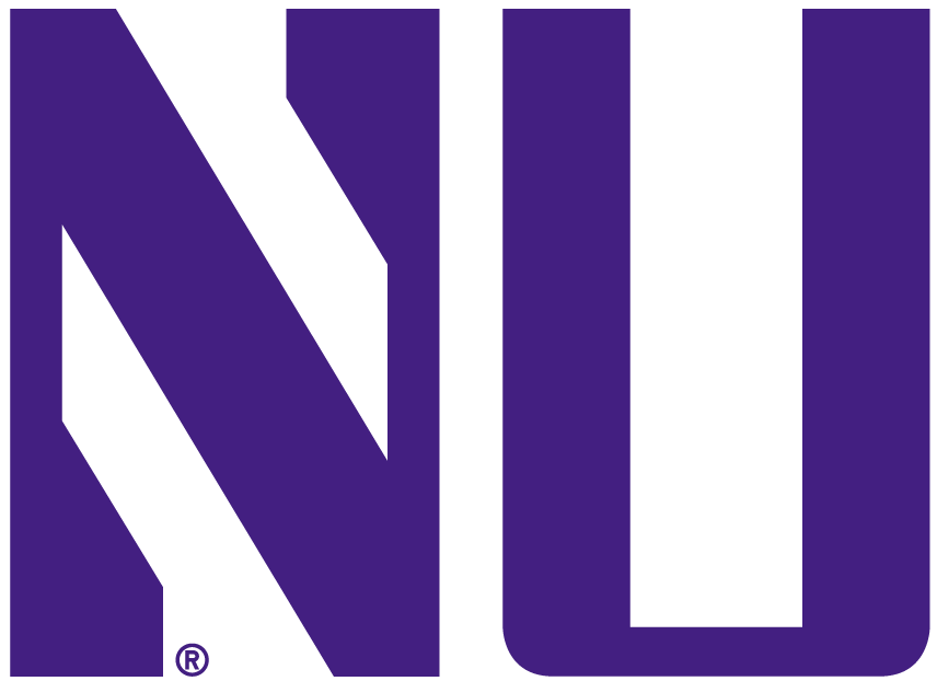 Northwestern Wildcats 1981-Pres Alternate Logo v3 diy iron on heat transfer